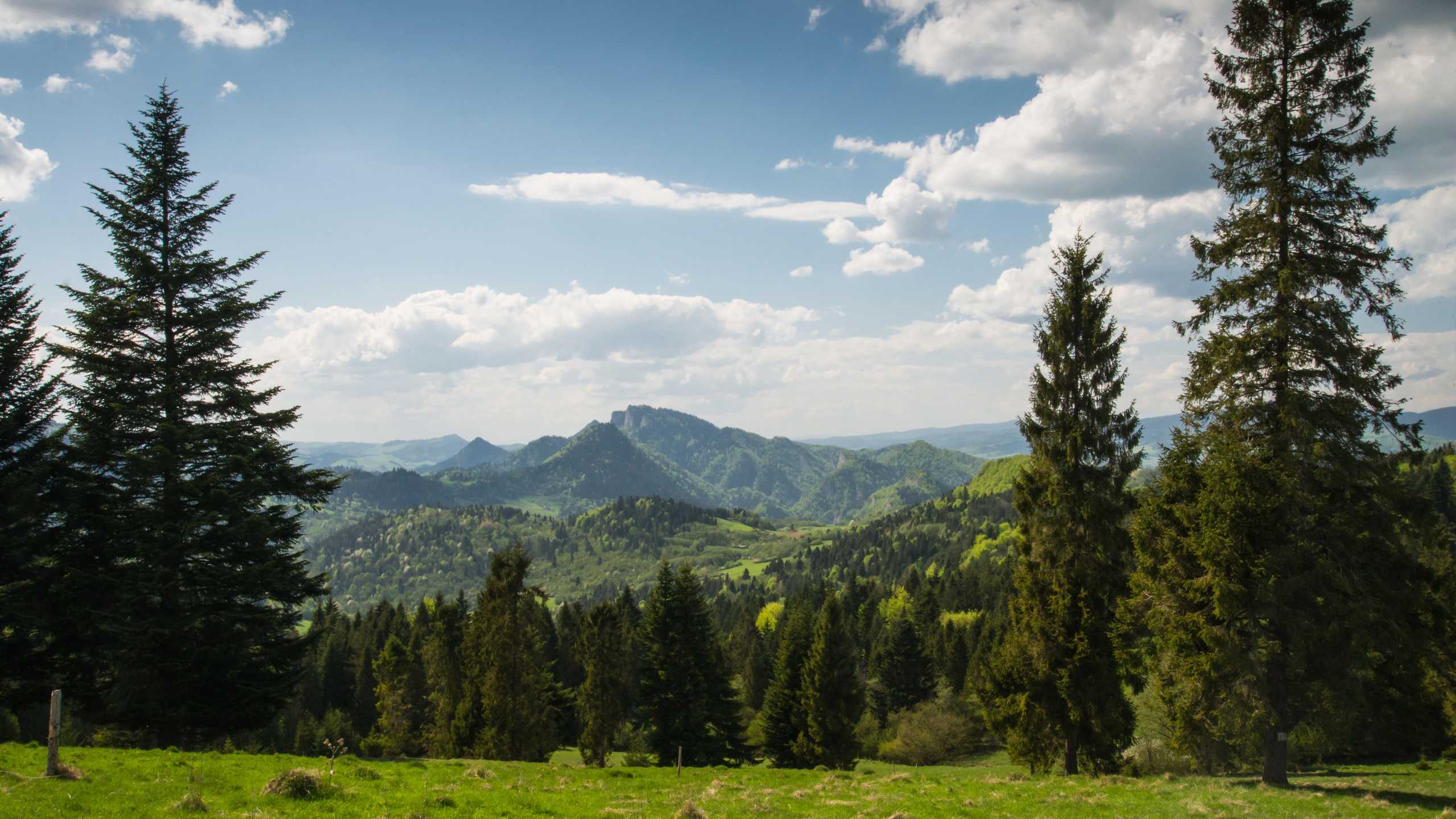 Hocheder Umgebung Sommer