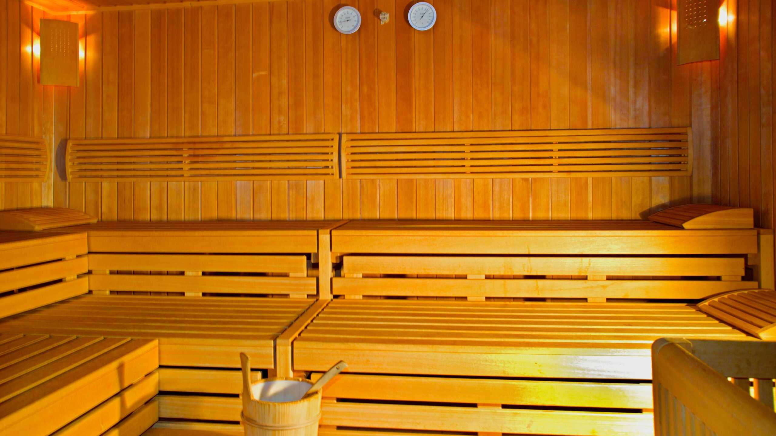 Hocheder Wellness Sauna