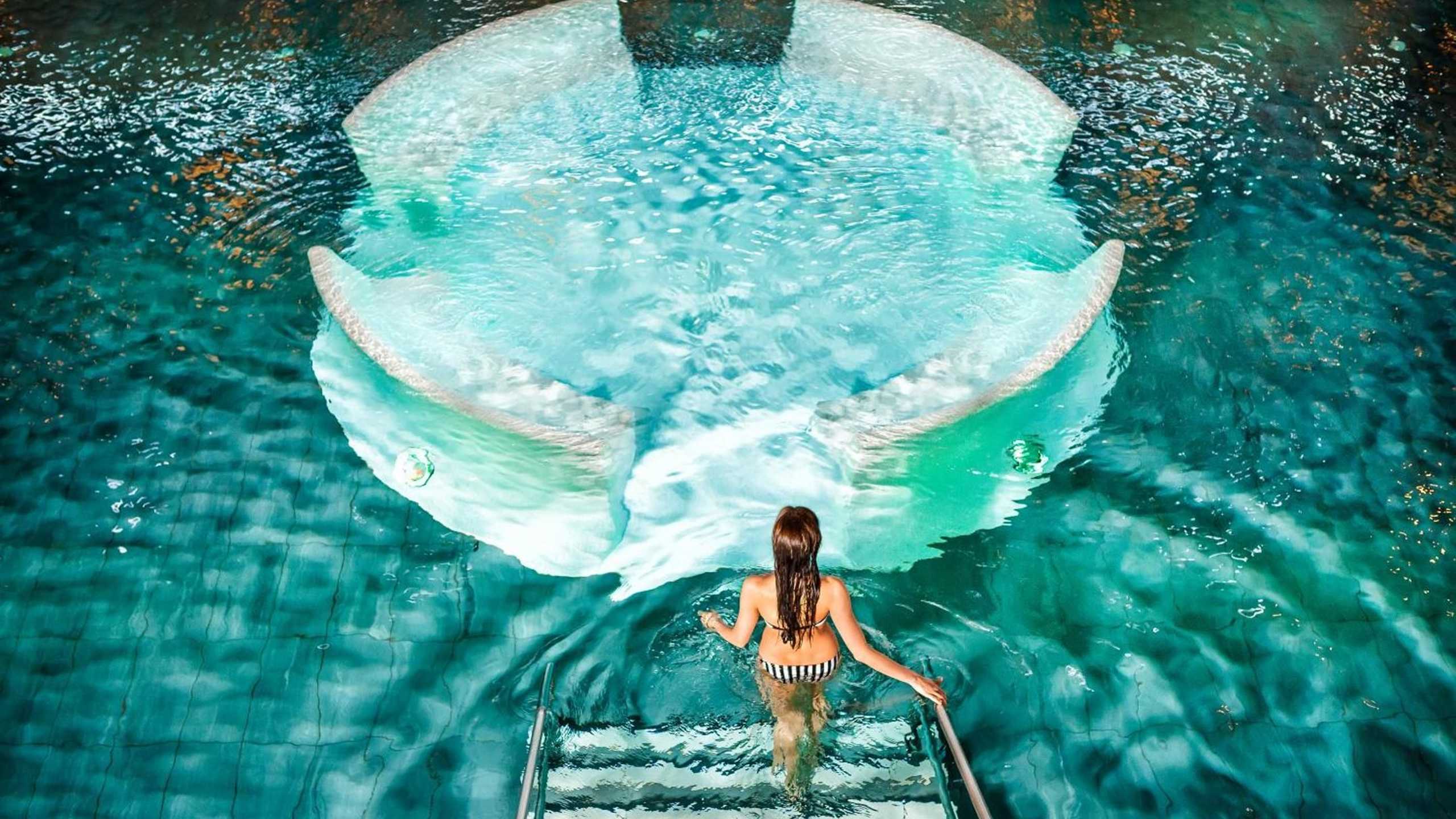 Asia Wellness Hallenbad Model