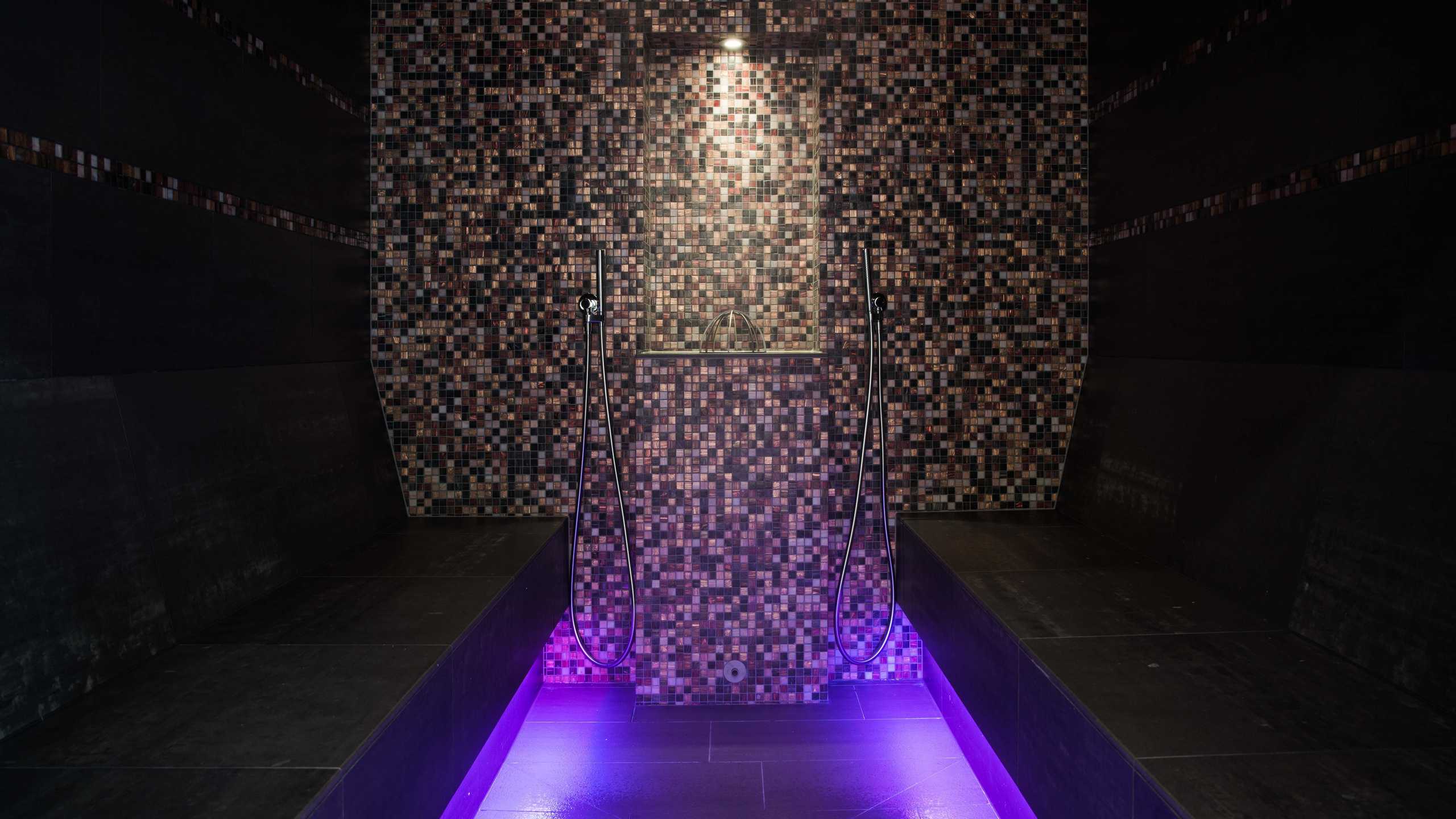 Goldried Wellness Dampfbad2