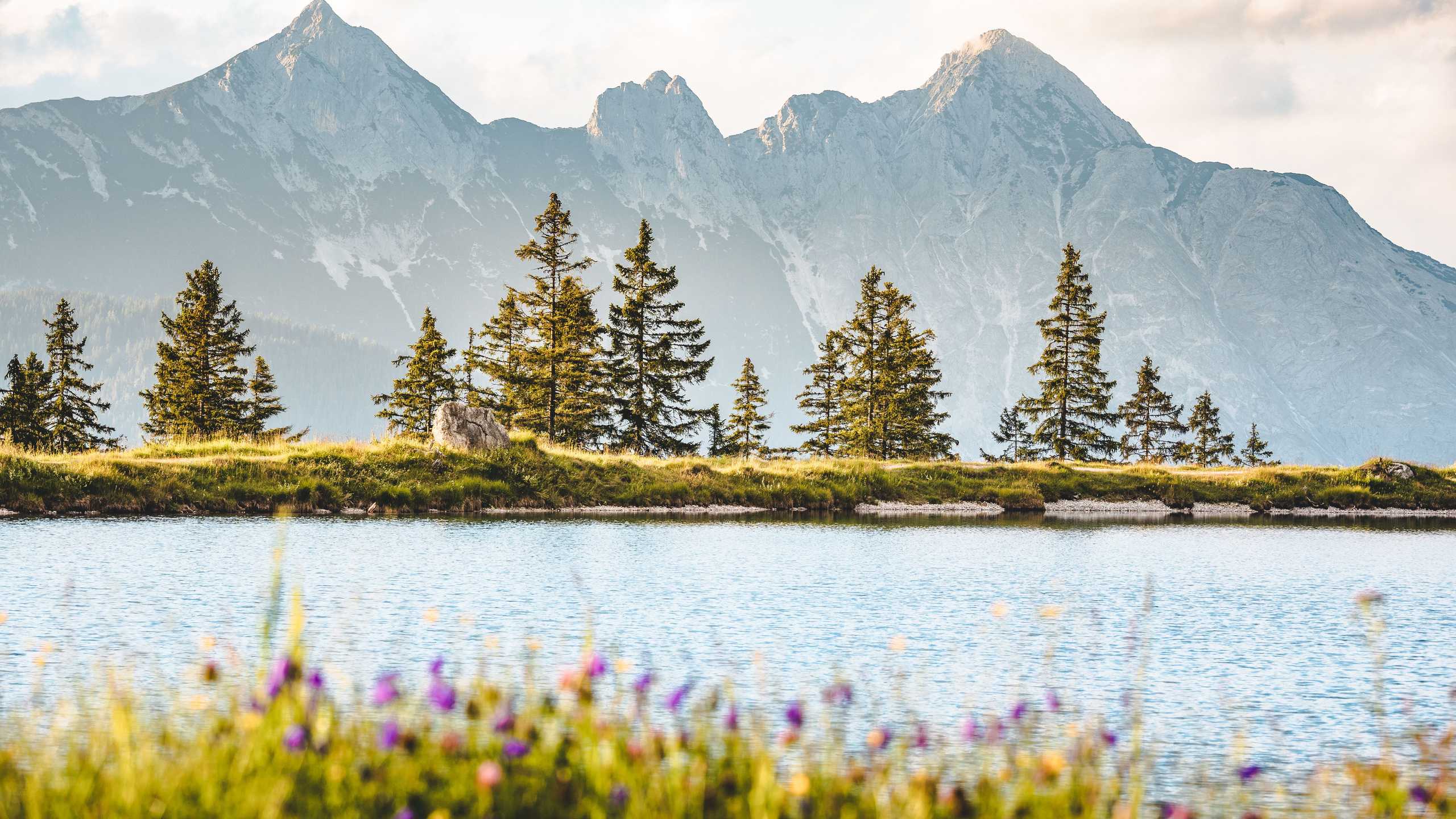 Seefeld Sommer Am Kaltwassersee Bei Der Rosshuette