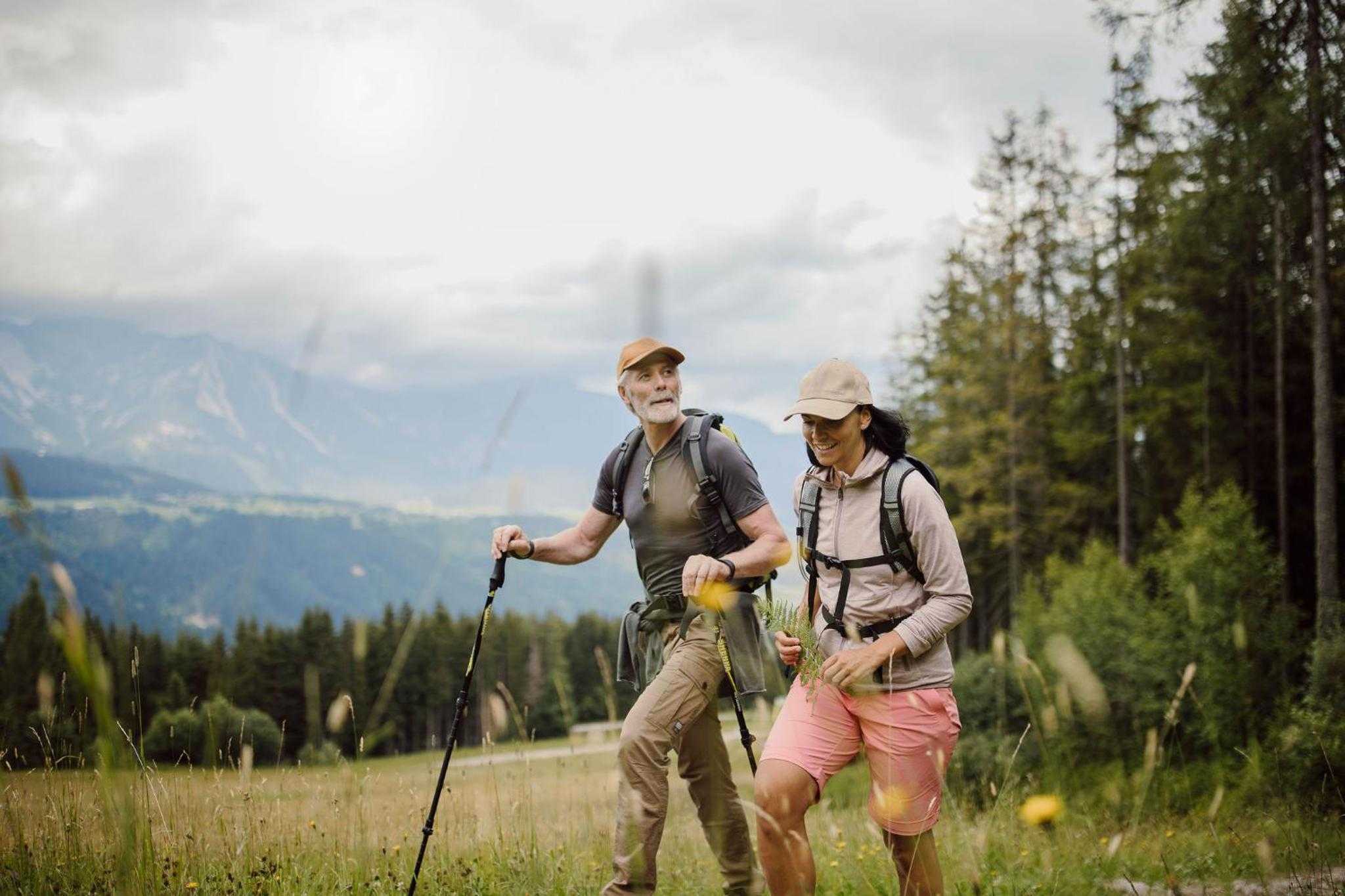 Waldfrieden Wandern
