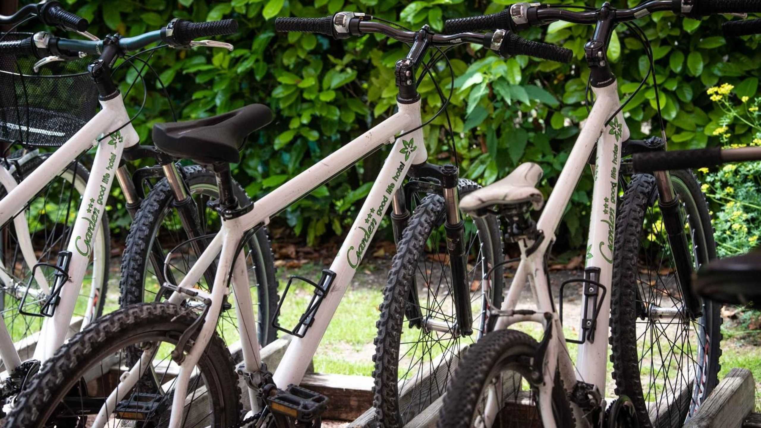 Gardentrentino Radverleih3