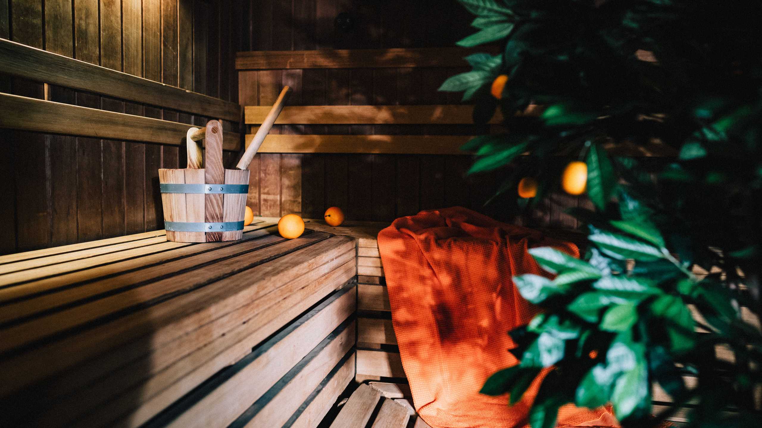 Edelweiss Wellness Sauna