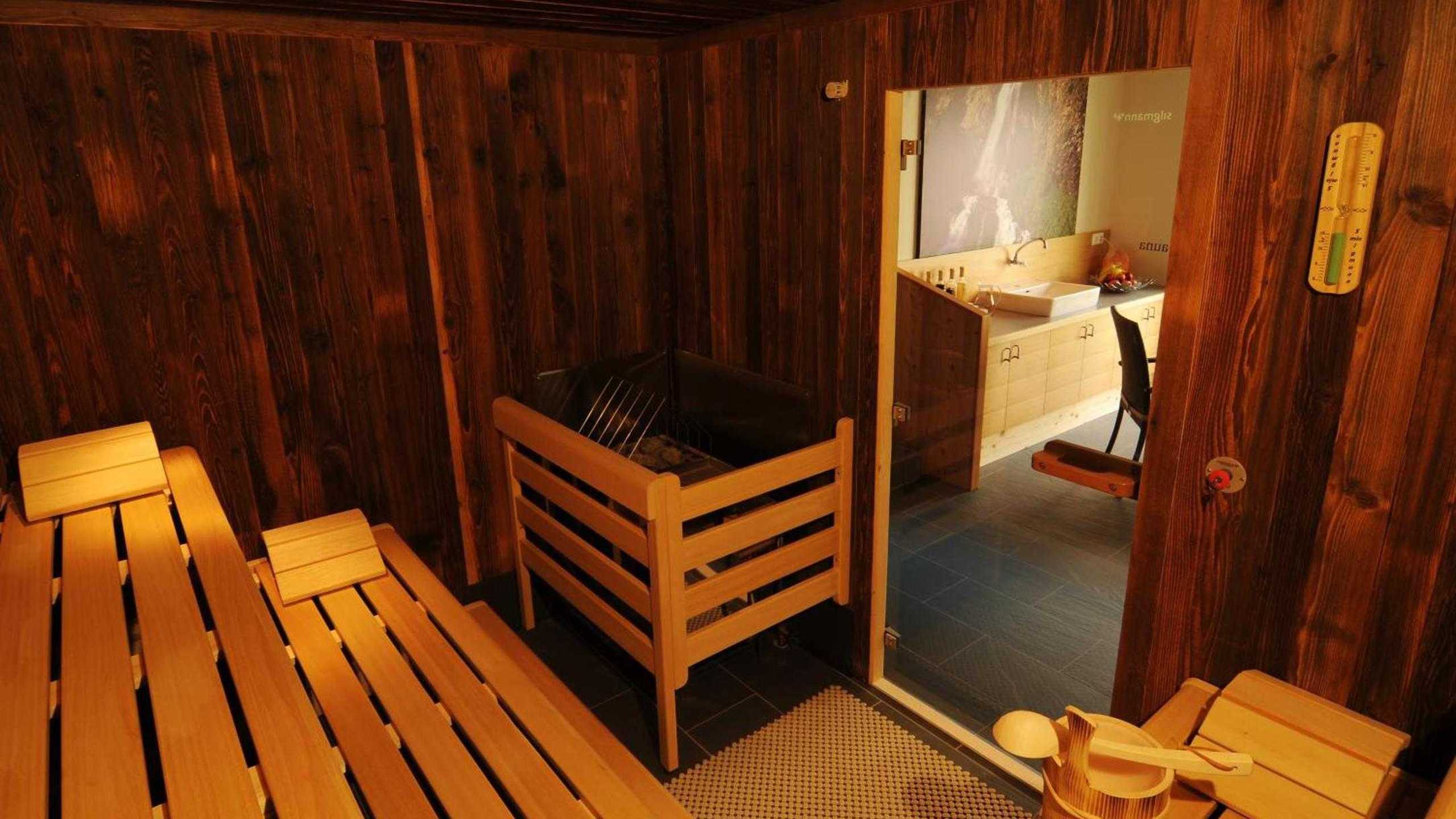 Tauernstern Wellness Sauna2