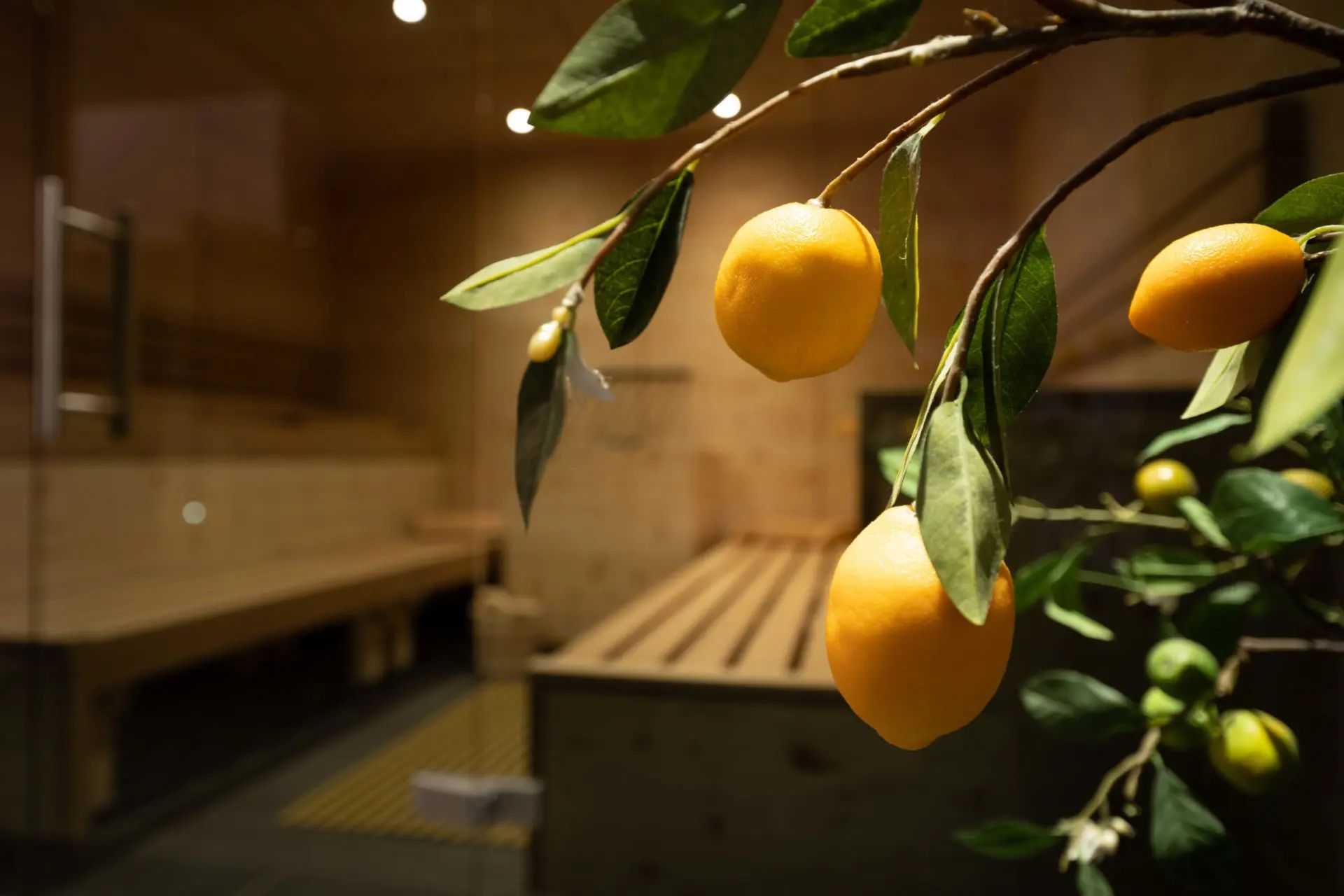 Moerisch Wellness Sauna2