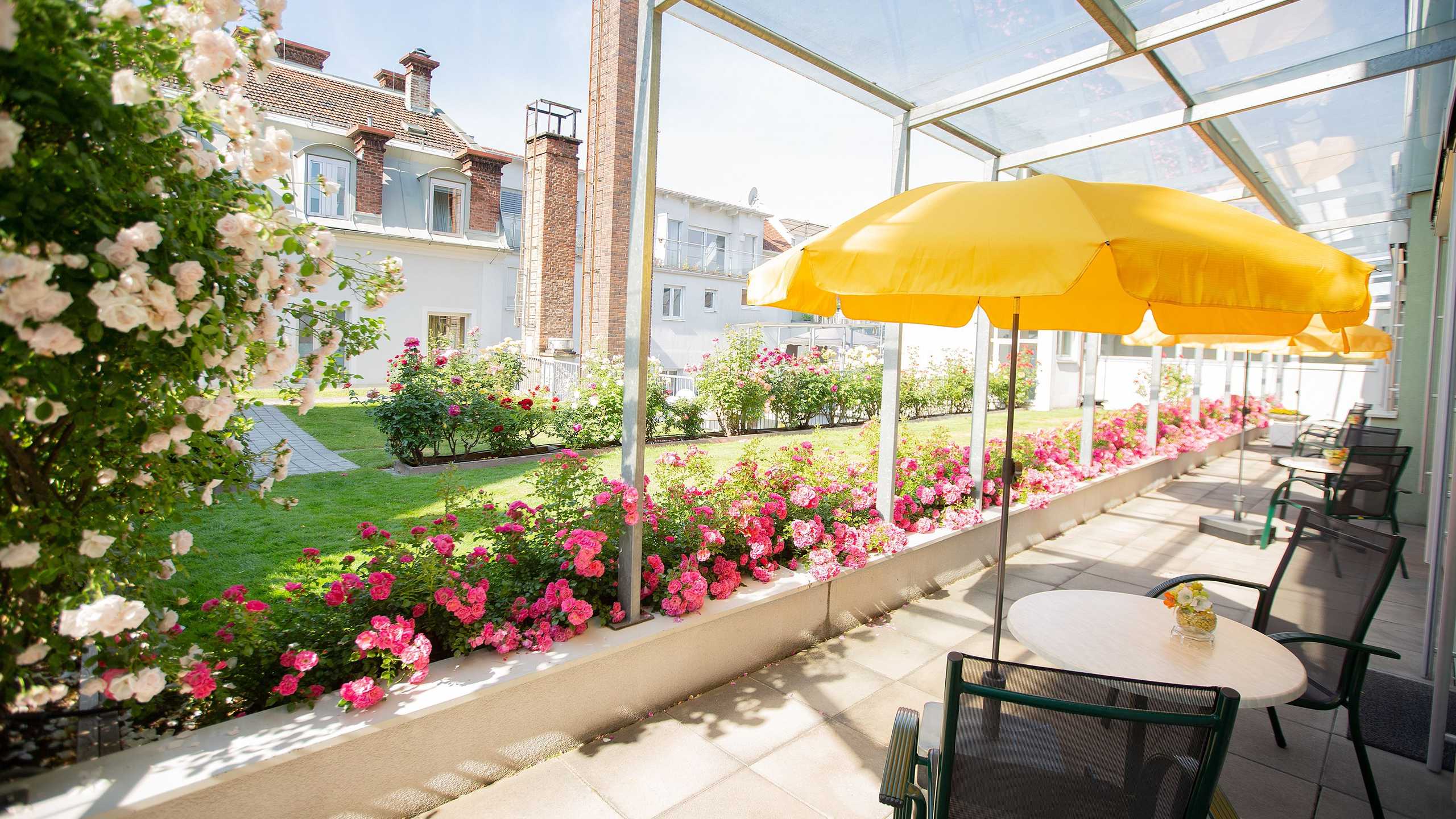 Gollner Dachterrasse2