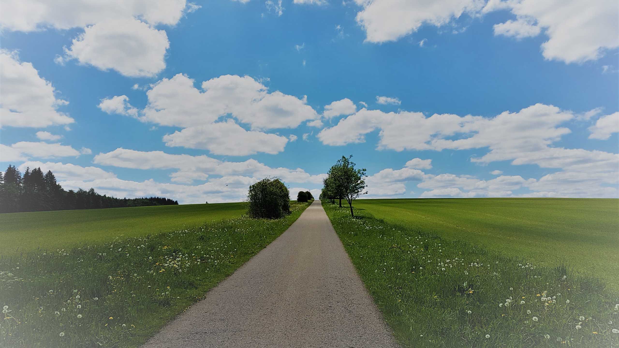 Eberhard Panorama Weg