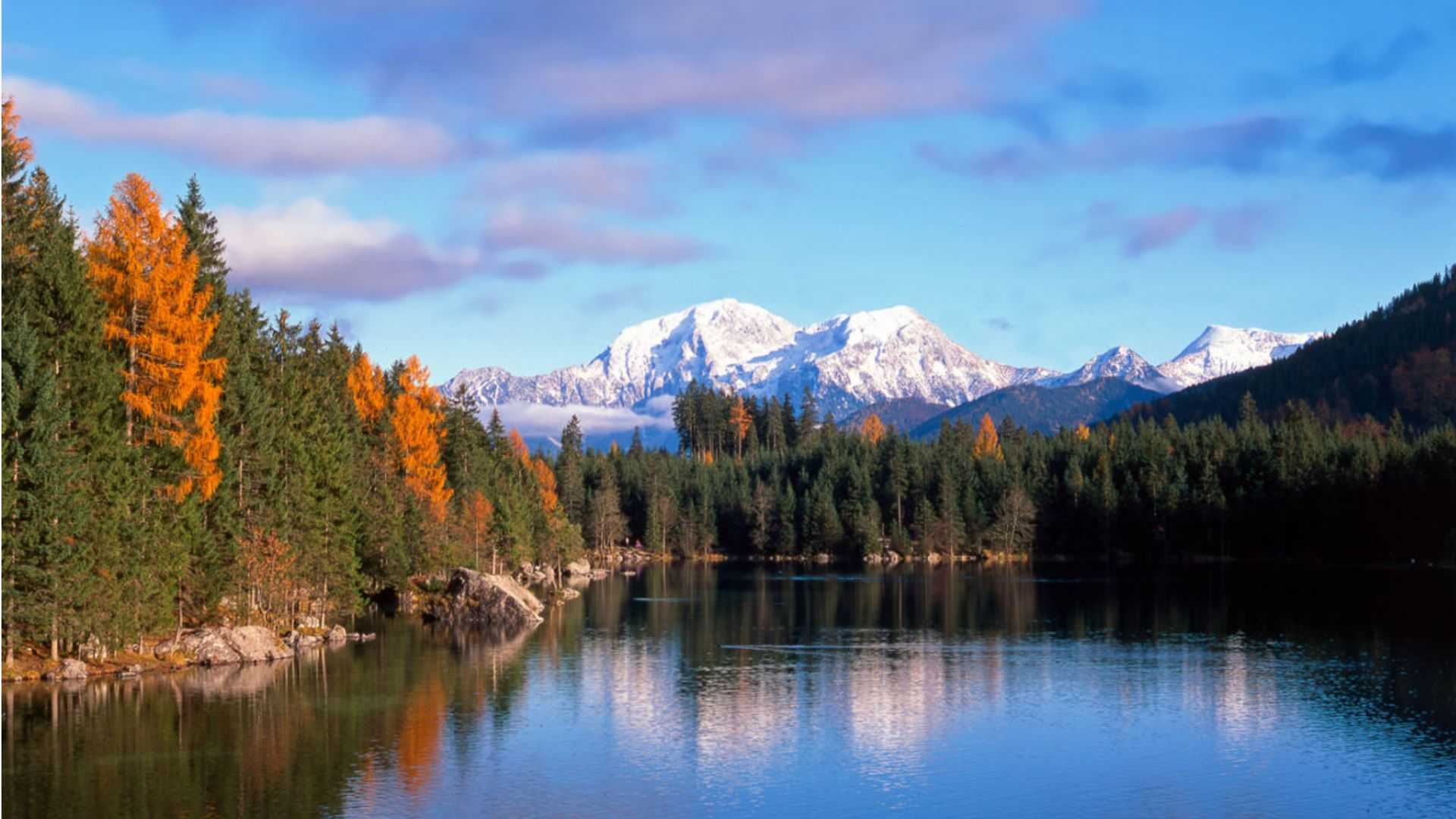 Bayernvital Umgebung