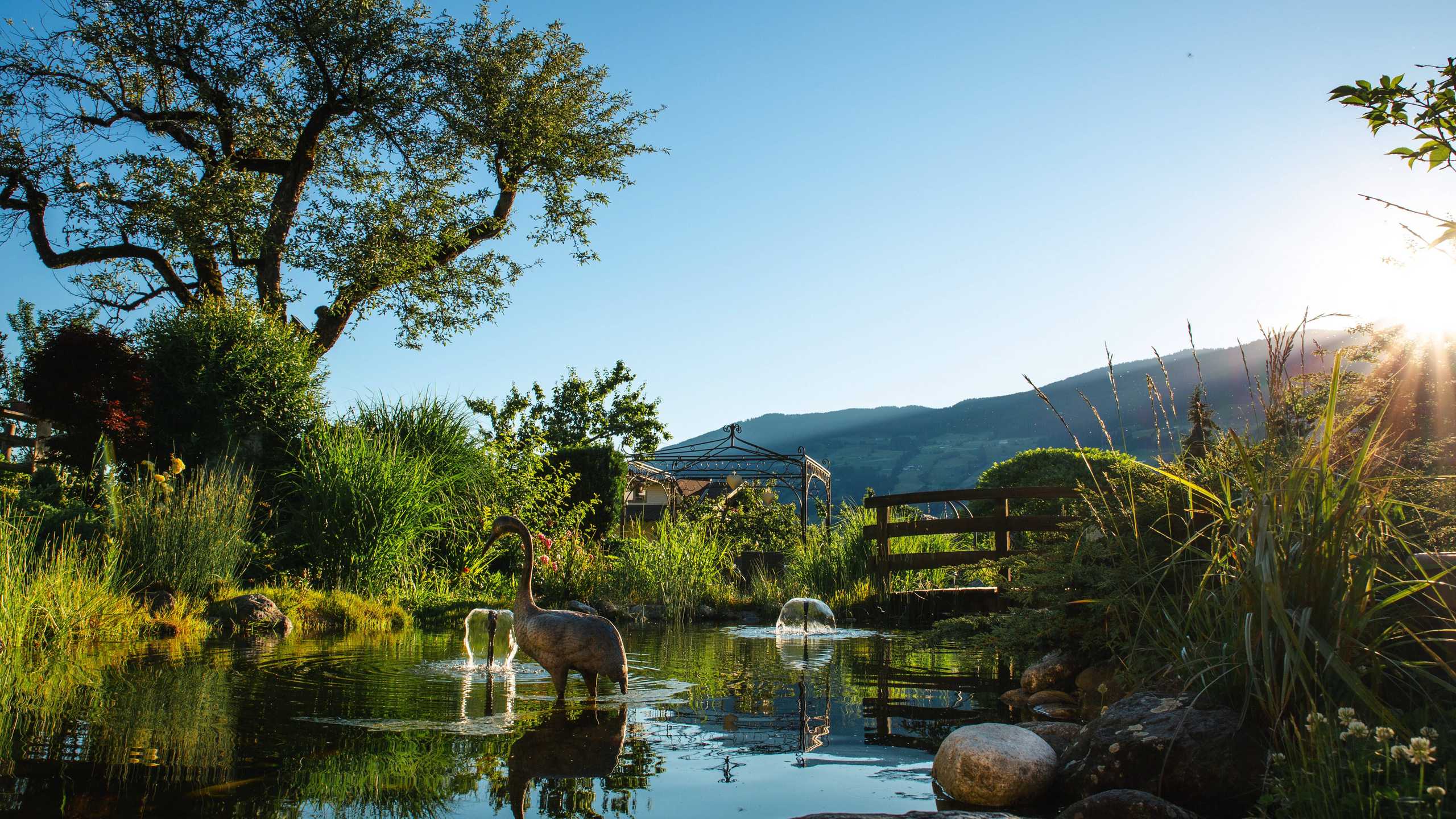 Kohlerhof Garten Teich2