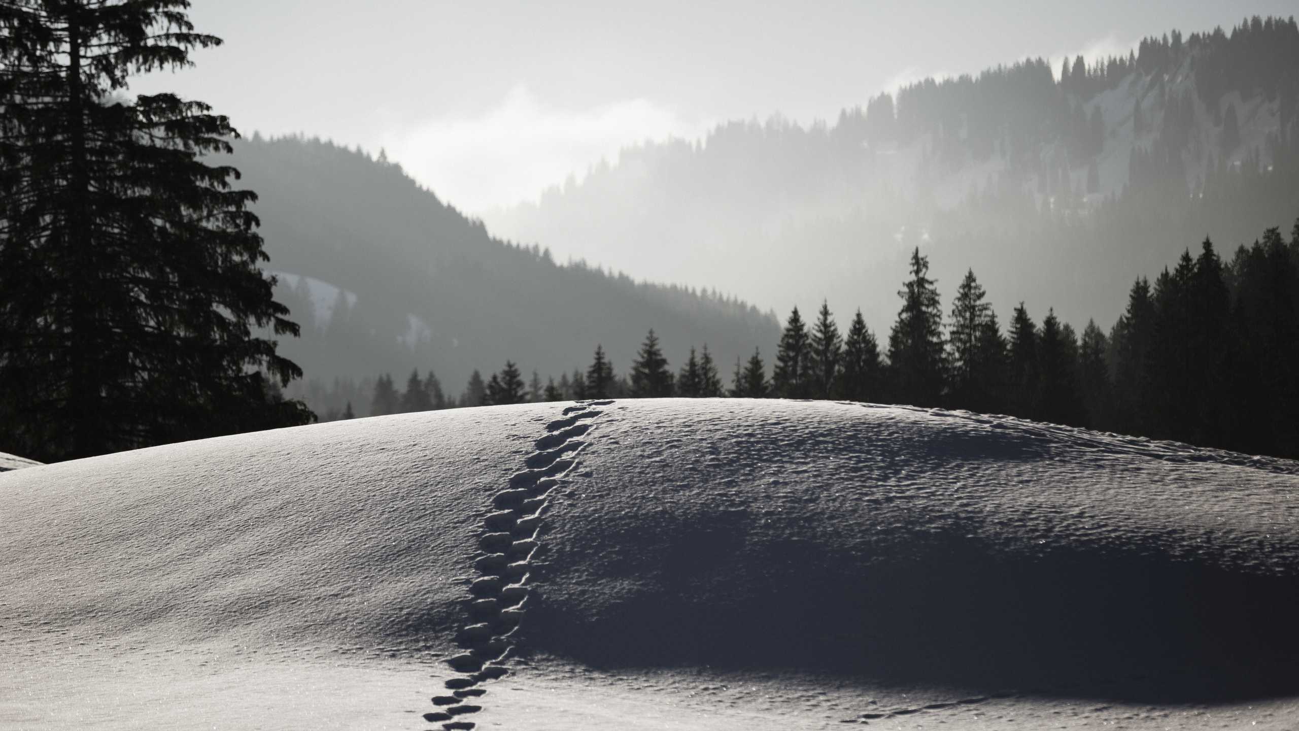 Hubertus Panorama Winter