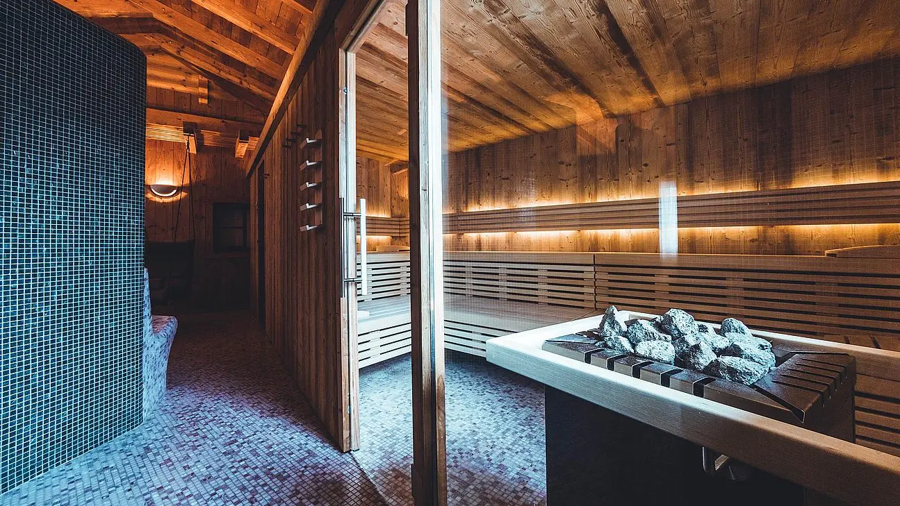 Tanzer Wellness Sauna2
