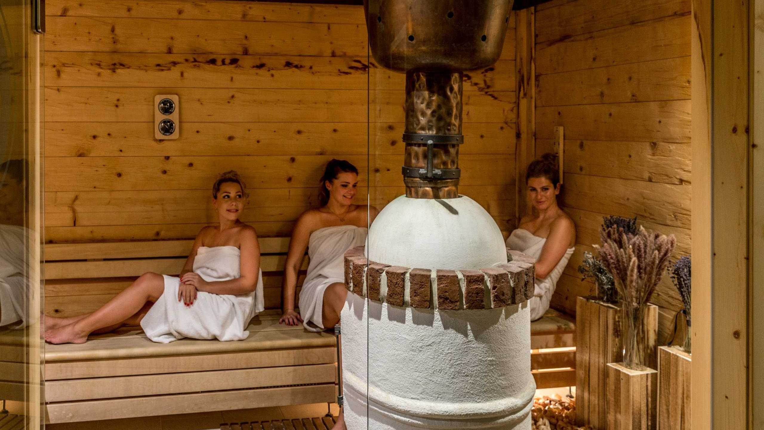 Aunhamer Wellness Sauna3