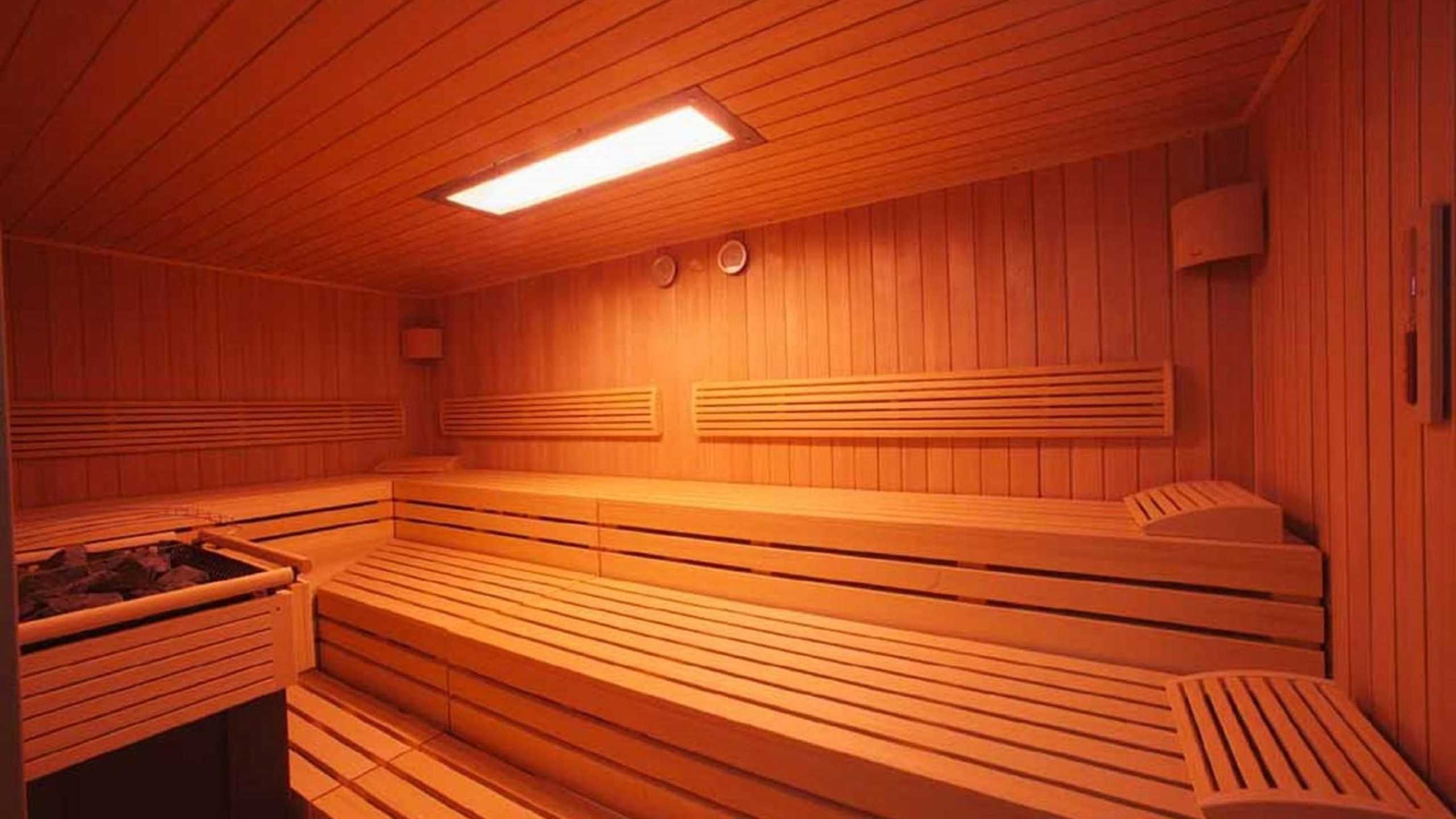 Austria Wellness Sauna