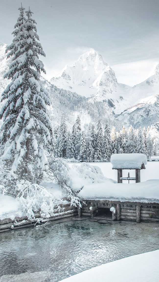 Triforet Panorama Winter