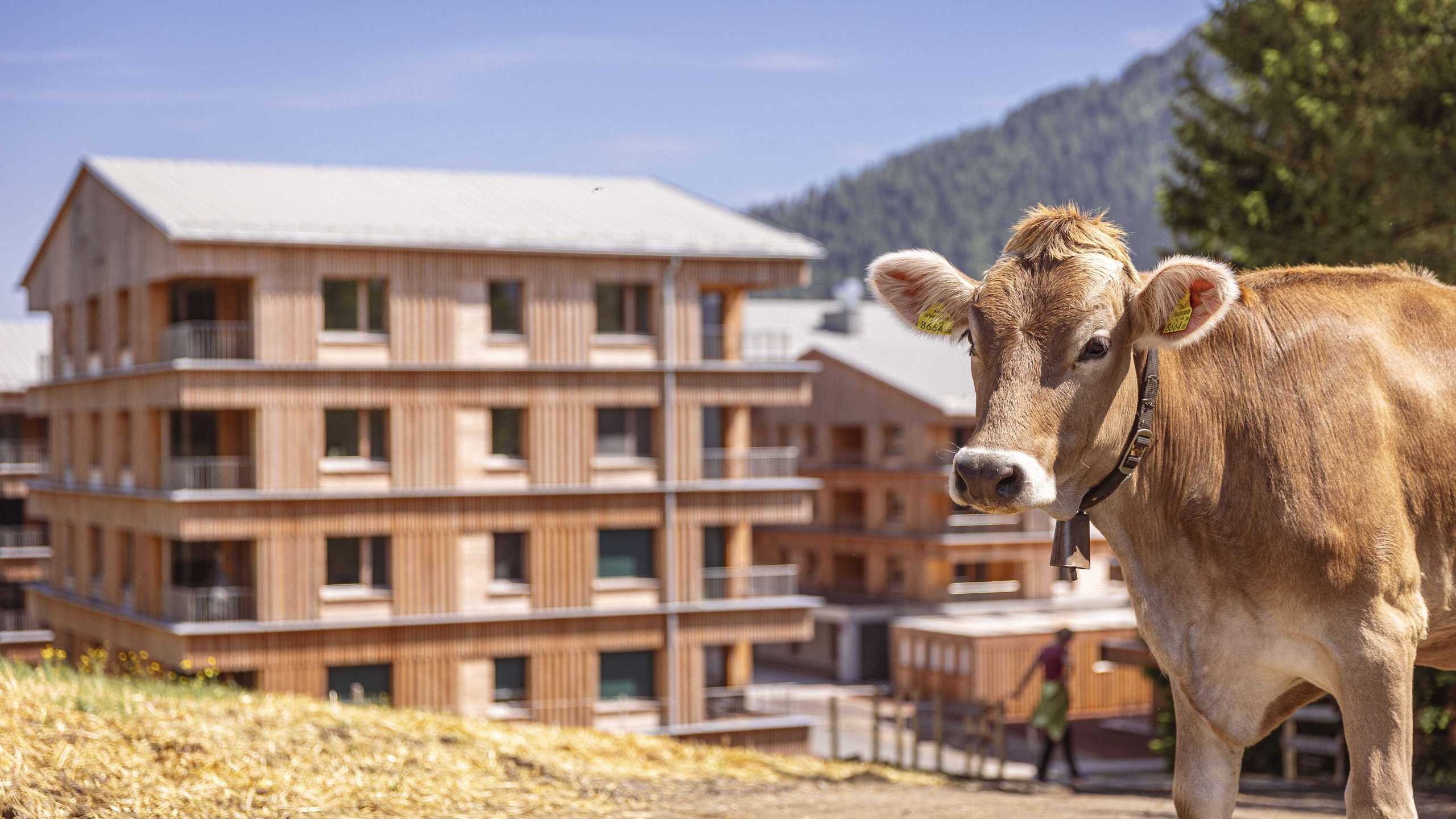 Gartnerkofel Hotel5