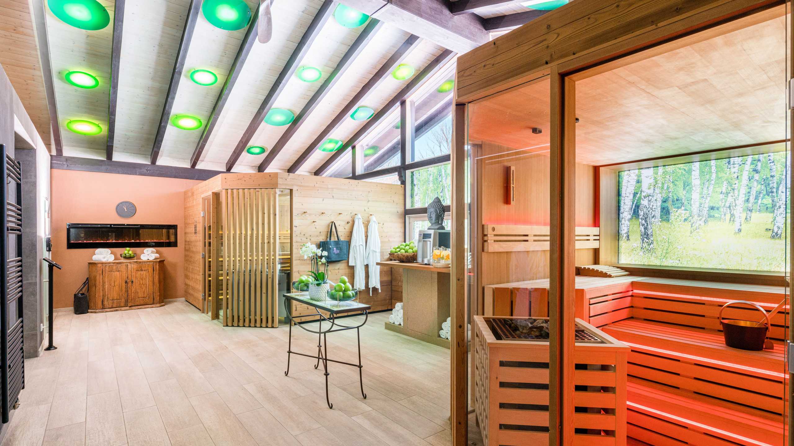 Ludwig Wellness Sauna2