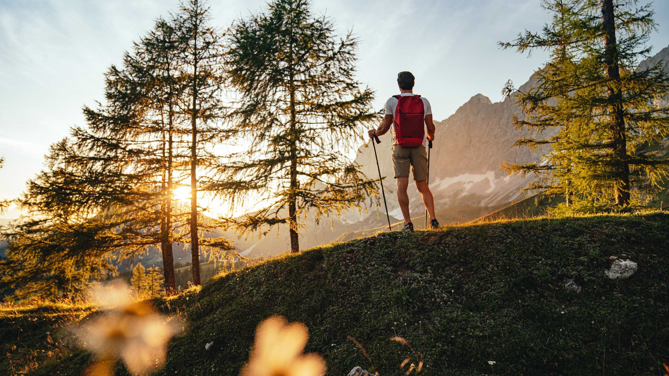 Pichlmayrgut Wandern