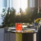 Nidum Kulinarik Cocktail