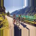 Postamsee Rad