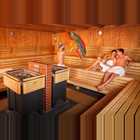 Asia Wellness Sauna3