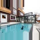 Panthera Pool Winter