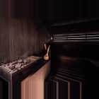 Panthera Wellness Sauna