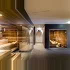 Goldried Wellness Sauna2