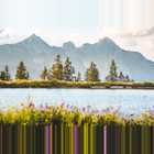 Seefeld Sommer Am Kaltwassersee Bei Der Rosshuette