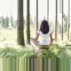 Bruendl Yoga Wald
