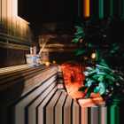 Edelweiss Wellness Sauna