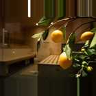 Moerisch Wellness Sauna2