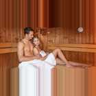 Rosenau Wellness Sauna