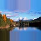 Bayernvital Umgebung