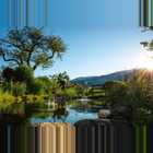 Kohlerhof Garten Teich2