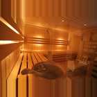 Bellevue Wellness Sauna