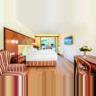 Bellevue Zimmer Rheinblick