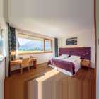 Narzissen Zimmer Juniorsuite Narzissenbluete