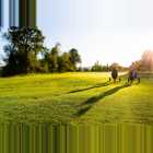 Aunhamer Golf