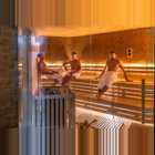 Aunhamer Wellness Sauna2