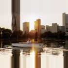 Wien Bootfahren Alte Donau