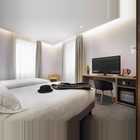 Touring Zimmer Executive4