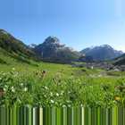 Lech Zuers Lech Blick Auf Das Omeshorn2
